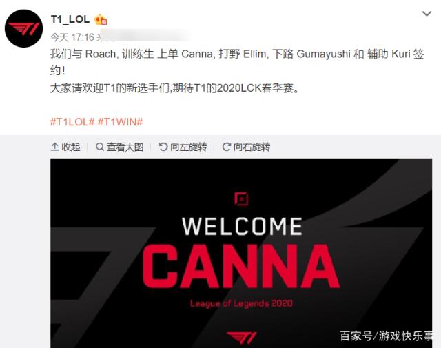 女篮运动员 女篮运动员